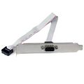 Thumbnail for version as of 07:29, 1 October 2026